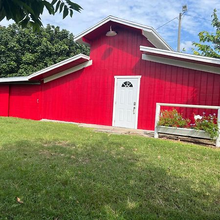 Гостьовий будинок Maria'S Tiny Barn Гомстед Екстер'єр фото