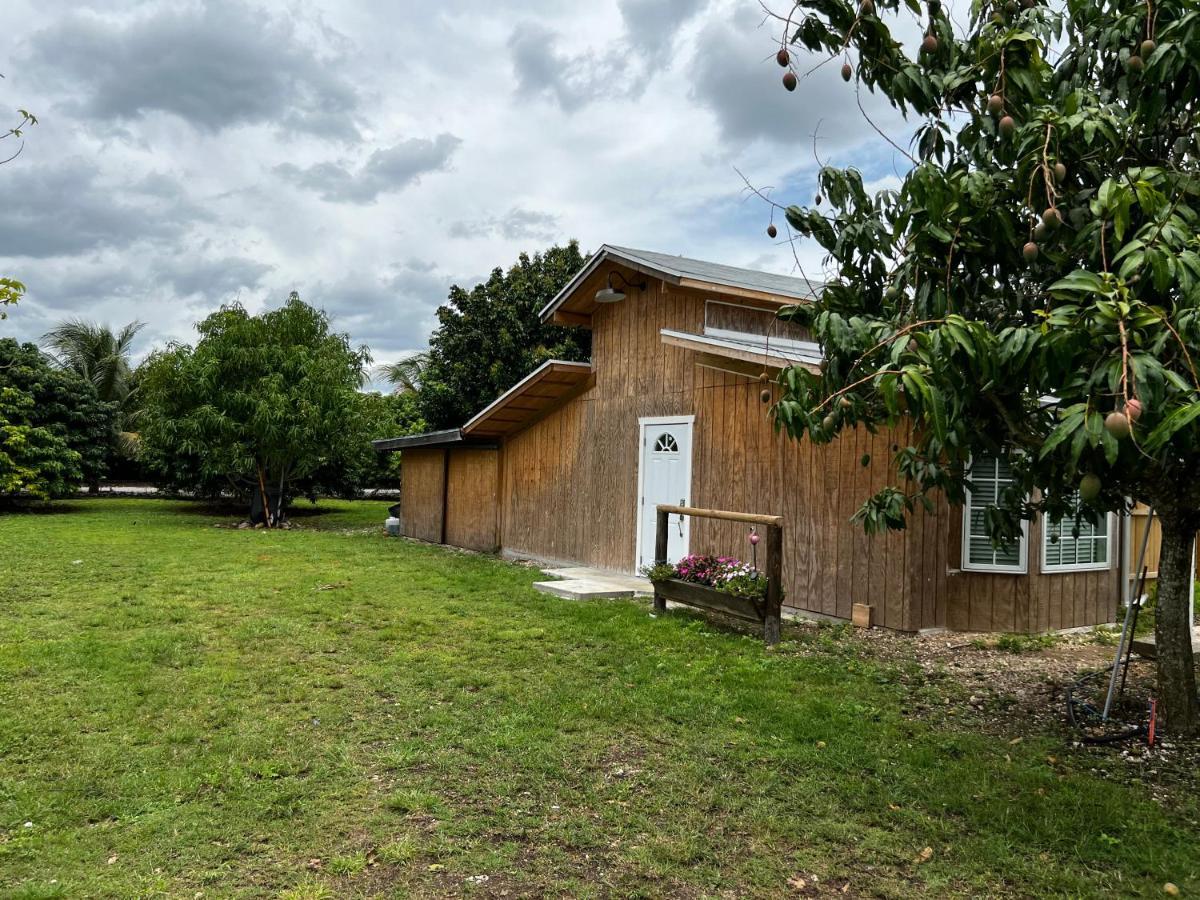 Гостьовий будинок Maria'S Tiny Barn Гомстед Екстер'єр фото